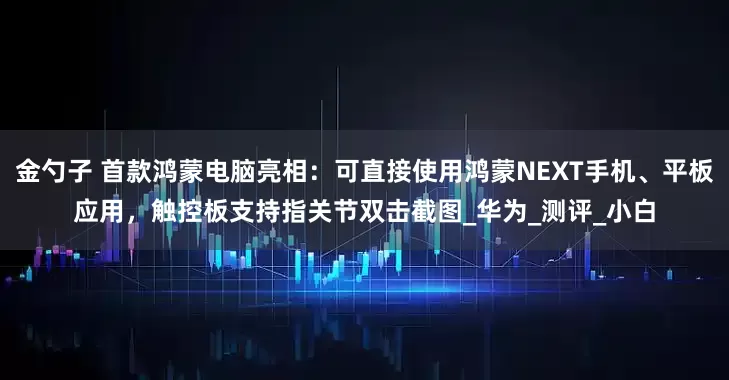 金勺子 首款鸿蒙电脑亮相：可直接使用鸿蒙NEXT手机、平板应用，触控板支持指关节双击截图_华为_测评_小白