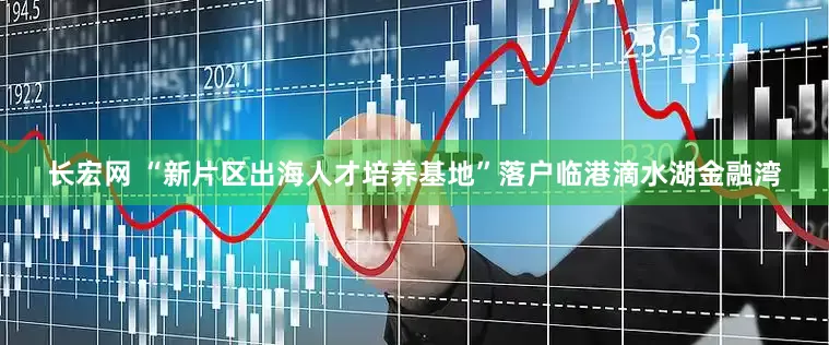 长宏网 “新片区出海人才培养基地”落户临港滴水湖金融湾