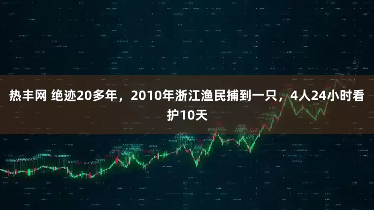 热丰网 绝迹20多年，2010年浙江渔民捕到一只，4人24小时看护10天